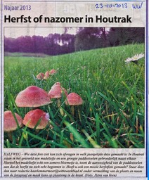 20131023-WW Herfst of nazomer in de Houtrak