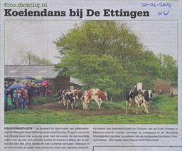 20140430-HW Koeiendans bij De Ettingen