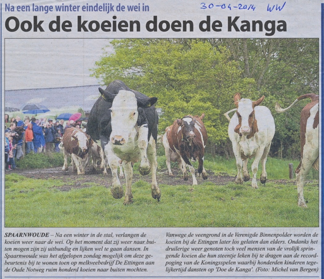 20140430-WW Ook de koeien doen de Kanga, Ettingen
