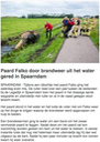 20140817-HDm Paard door brandweer uit water gered in Spaarndam