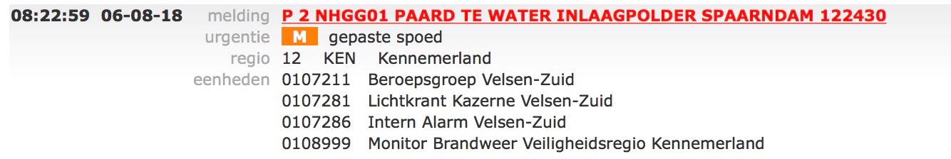 20180806-112 Paard te water Inlaagpolder Spaarndam