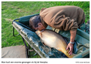 20201123-HD Fotowedstrijd, man kust een enorme gevangen vis bij de Veerplas