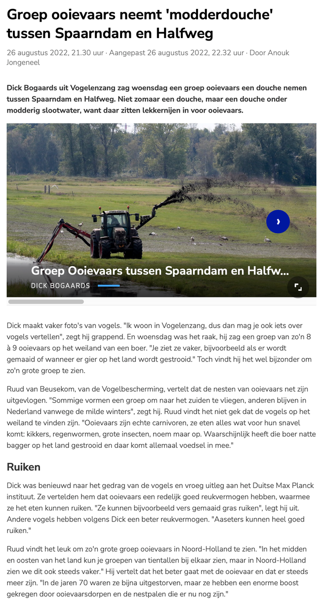 20220826-NHnieuws Groep ooievaars neemt modderdouch tussen Spaarndam en Halfweg
